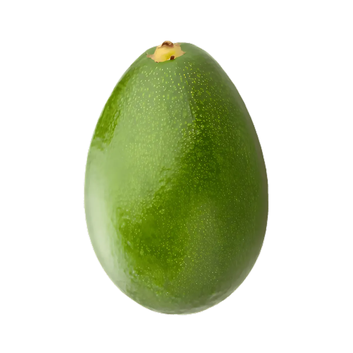 Avocat tropical entier à peau lisse et verte, riche en nutriments. Idéal pour une alimentation saine et équilibrée.